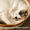 Handwoven Cotton Rope Cat Basket Durable Foldable 5
