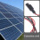 Schwarzes Solarkabel für Solarmodule (1 Stück) 8