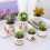 Kerámia bonsai cserép vízelvezető tálcával, 11 cm 8