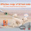 Dog Bark Deterrent Device Rechargeable 3 Modes 50ft Range 5