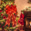 Laço de Natal LED DAMAI, 24 polegadas, 11 funções 7