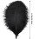 Black Ostrich Feathers Pack 20 pcs 8-10 inch for Home 2