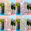 Silicone 3D Animal Bubble Stickers for Stress Relief - Safe 5