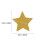 Gold Star Garland Christmas Decor 2M 3