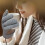 Heated Thermal Gloves Rechargeable 5V USB Touchscreen 4