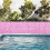 Artificial Ivy Hedge Screen Plastic Privacy Fence Roll 6