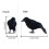 Halloween Crow Figurine Realistic DIY Desktop Bird Craft 2