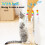 Hanging Door Cat Toy with Retractable String and Feather 3