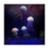 12PCS Sea Moon Luminous Simulation Jellyfish Χονδρική Σιλικόνη Φθορίζουσα Φωτεινή Διακόσμηση 7