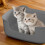 Large Cat Litter Box with High Sides and Low Entry 2
