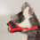 Soft Nylon Dog Muzzle Air Mesh Adjustable for Small to 4