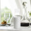 Bouteille réutilisable transparente (lot de 4) 6