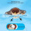Interactive Rechargeable Cat Toy with Feather Tail 6