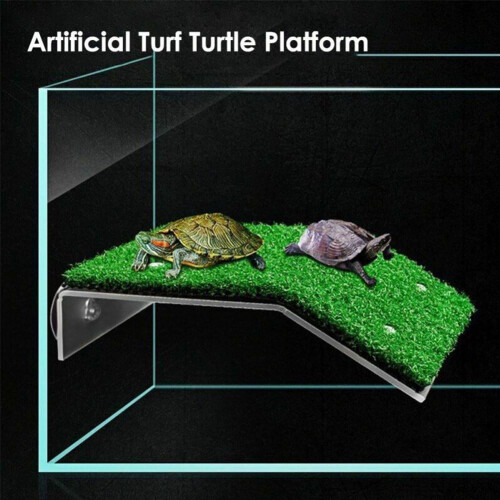 Piattaforma per tartarughe con terrazza in erba sintetica M 1