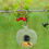 Bird Feeder with HD 1080P Camera Night Vision WiFi 5