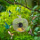 Bird Feeder with HD 1080P Camera Night Vision WiFi 8