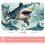 Χαλί μπάνιου Shark Memory Foam 16x24 ιντσών βαμμένο, μαλακό, αντιολισθητικό, γρήγορο 2