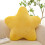 VerPetridure star plush pillow 23.6 inch 2