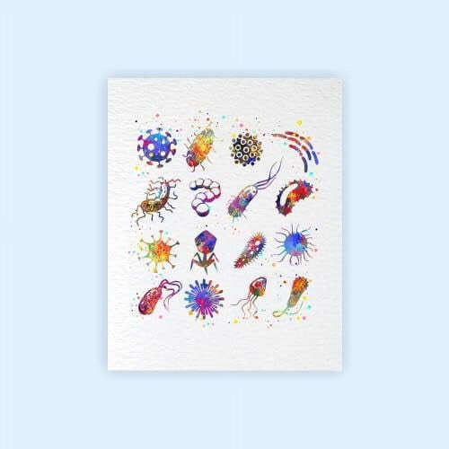 Estampe aquarelle de bactéries 11x14 sans cadre 1