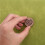1 Set Braided Chart Clip Magnets Knitting Tool Magnetic Fold  Pattern Holder for Home Use PU Magnet Beech 7