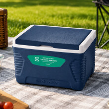 ROYALFORD 5L Insulated Cool Box Ice Cooler Camping Picnic Beach Travel BPA 24H
