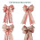 Christmas Tree Topper Bow Red Stripe 18 Inch 2