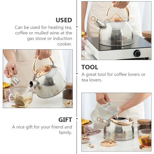 Stainless Steel Whistle Teakettle 1 pc 2