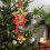 Christmas bell pendant gold silver red star angel tree 5