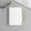 Divizoare pentru indexuri Eease B5, 5 file, pachet de 3 2