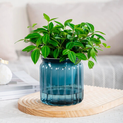 Vaso in ceramica blu per piante da interno ed esterno (1 pezzo) 1