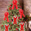 Weihnachtsbaumschmuck mit Schleife im Büffelkaromuster, 1 Stück 5