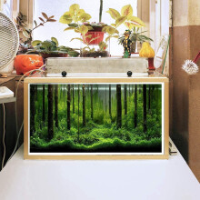 Affiche Aquarium Forêt, fond adhésif en PVC, 76 x 46 cm