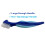 Denture Brush Set White Case 2 3 4 or 6 Pieces 2