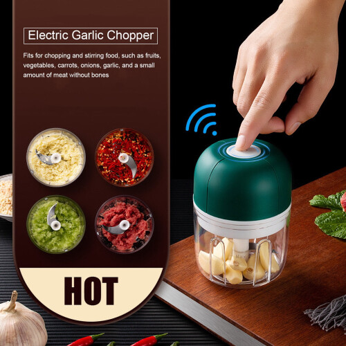 Hachoir à ail électrique mini hachoir de 250 ml 1