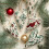 Christmas Ornament Embroidery Kit with Needles 3