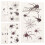 Spider temporary tattoos stickers 20 sheets 3
