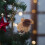 Christmas puppy pendant white pet tree decoration 4