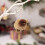 Christmas puppy pendant white pet tree decoration 5
