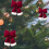 Christmas red flocking bow decoration 12 pcs 4