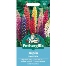 Fothergill's Lupin Russell Mixed Flower Seeds, 75 Seeds, Sow: Mar-Jul, Purple/Bl