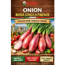 Onion Rosa Lunga Di Firenze Seeds | Italian Pink Torpedo Onion | Approx. 300 Seeds | Mild Sweet Flavour | Bulb-Forming Variety