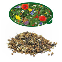 Pronto Seed Wildflower Seeds UK Mixed Variety Garden Pack - Seed Mix for Outdoor Blooms from May to October - Easy-Grow Native British Flowers for Be