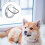 Xing Controlled Dog Door Two-Way Round Plastic Cat Flap 4