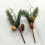 Conjunto de decoração de Natal com galhos de pinheiro 5