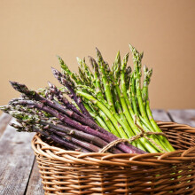 Carbeth Plants Asparagus Crown Roots for Planting - Premium Quality Easy Grow Vegetable Perennials - Quick Establishment & High Yielding Spears for K