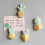 Cactus-shaped fridge magnets resin 6 pcs 2