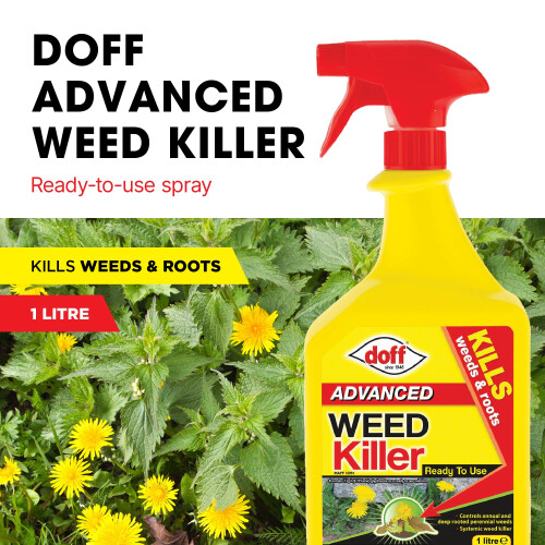 Doff Doff Advanced Weedkiller 1L 1