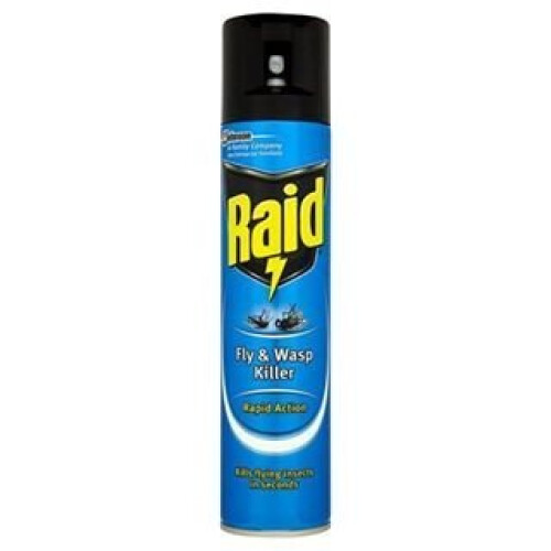 Raid Fly & Wasp Killer 300ml