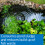 API Pond-Zyme Sludge Destroyer with Barley for Ponds, 454g Container 3