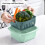 Cesta de drenaje de plástico de doble capa multifuncional para frutas y verduras. 3